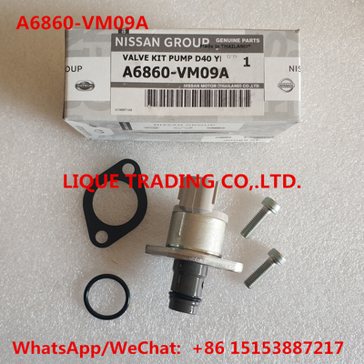 China Los equipos A6860-VM09A, A6860VM09A, A6860 de NISSAN Overhaul VM09A = 1460A037 incluyen la válvula 294200-0360 proveedor