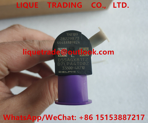 China DELPHI Common Rail Injector 28229873, 33800-4A710, 33800 4A710, 338004A710 proveedor