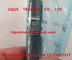 DELPHI Fuel Injector EJBR05001D, R05001D, 320/06623, 320-06623, 32006623 proveedor
