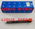 DELPHI Fuel Injector 28337917, 400903-00074D, 400903-00074C, 40090300074D, 40090300074C para DOOSAN proveedor