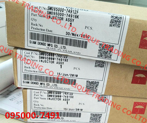 CHINA Inyector común del carril del INYECTOR 095000-7491/095000-7490 DENSO 095000-7491/095000-7490 proveedor