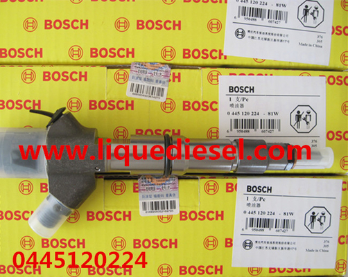 CHINA Inyector común 0445120224,0445120170 del carril de BOSCH para WEICHAI WP10 612600080618 proveedor