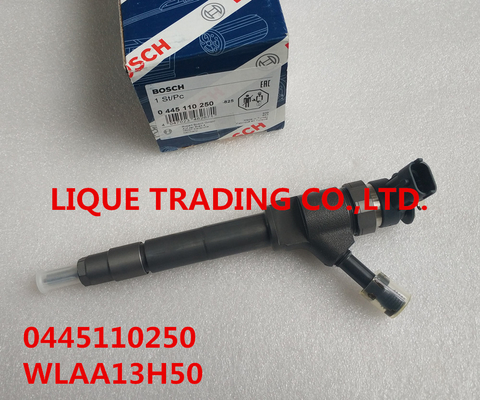 CHINA Inyector común 0445110250, 0 445 110 250, WLAA-13H50, WLAA13H50, WLAA 13H50 del carril de BOSCH proveedor