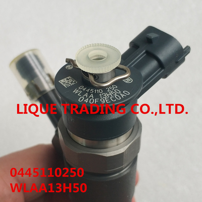 China INYECTOR 0445110250, 0 445 110 250, WLAA-13H50, WLAA13H50, WLAA 13H50 de BOSCH proveedor