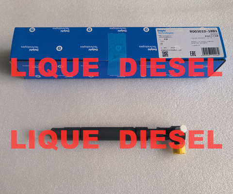 CHINA DELPHI Inyector de tren común EMBR00301D R00301D 6710170121 A6710170121 para SSANGYONG Korando proveedor