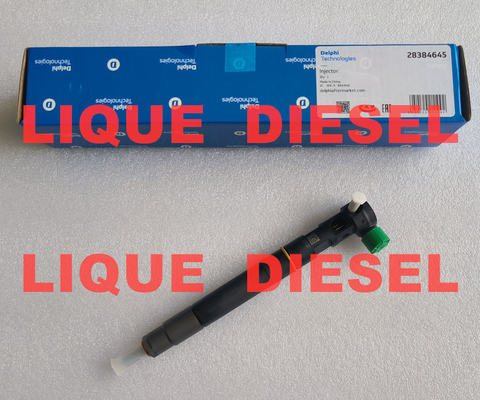 CHINA Inyector de combustible DELPHI 28384645 A6720170021 6720170021 para SSANGYONG D22 EURO 6 proveedor