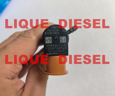 CHINA DELPHI inyector de tren común 28236381 33800-4A700 338004A700 para HYUNDAI Starex 33800 4A700 proveedor