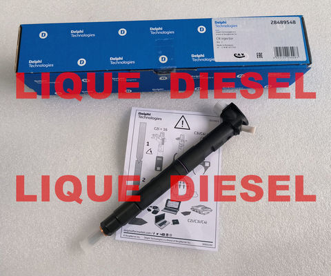 CHINA Inyector de combustible DELPHI 28489548 25195089 = 28264951 25183186 100% Genuino y nuevo. proveedor