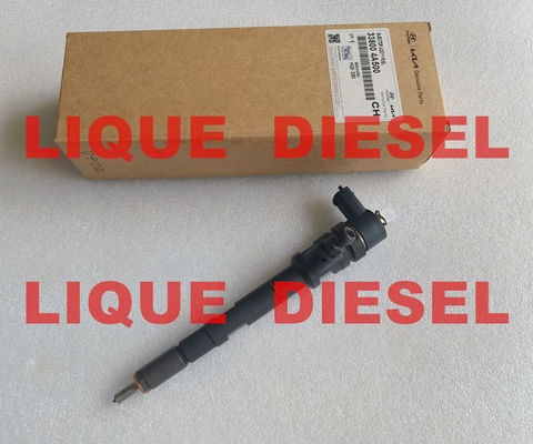 CHINA Inyector BOSCH 0445110274 0445110275 0 445 110 274 0 445 110 275 para el modelo HYUNDAI 33800-4A500 338004A500 55200259 proveedor