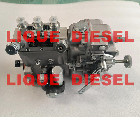 CHINA Bomba de combustible genuina B3A504 BH3A95R bomba common rail proveedor