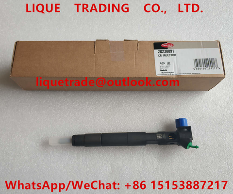 China DELPHI Fuel Injector 28230891, A6510701387, INYECTOR común del carril 6510701387 proveedor