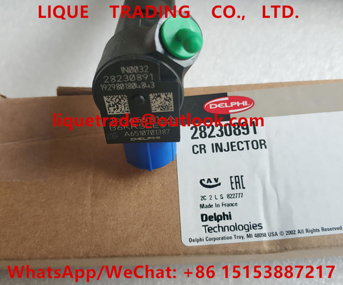 China DELPHI Common Rail Injector 28230891, inyector de combustible A6510701387 6510701387 proveedor