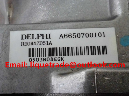 DELPHI bomba común auténtica y nueva R9044Z051A/R9044Z162A del 100% del carril para SSANGYONG A6650700401, A6650700101 proveedor