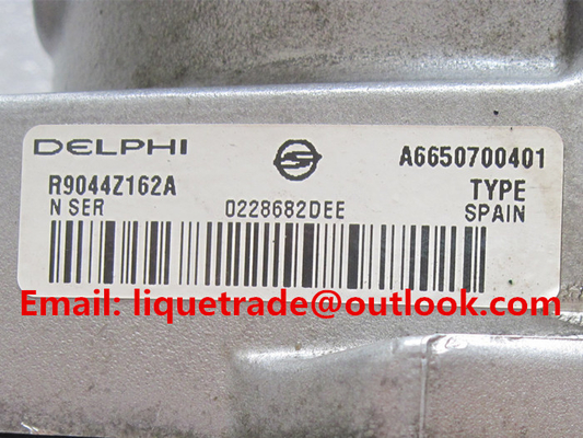 DELPHI bomba común auténtica y nueva R9044Z051A/R9044Z162A del 100% del carril para SSANGYONG A6650700401, A6650700101 proveedor