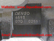 Inyector común auténtico 9709500-659/095000-6593/095000-6591/095000-659# del carril de Denso para HINO J08E 23670-E0010 proveedor