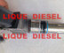 Inyector de combustible del motor diesel 3411763 3411764 3411767 3411766 3083662 para el motor de Cummins N14 proveedor