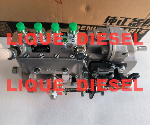 Pumpas de BYC 5342393 10400864080 10 400 864 080 CPES4A95D320/3RS2162 proveedor