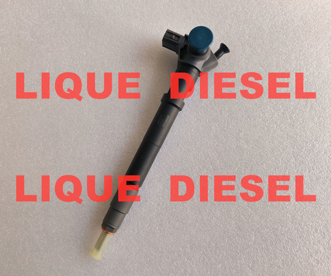 DENSO inyector de combustible 295700-0140 33800-4A900 2957000140 338004A900 para el HYUNDAI / KIA proveedor