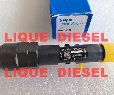 Delphi inyector de combustible R00401Z R01001D EJDR00401Z EJDR01001D proveedor