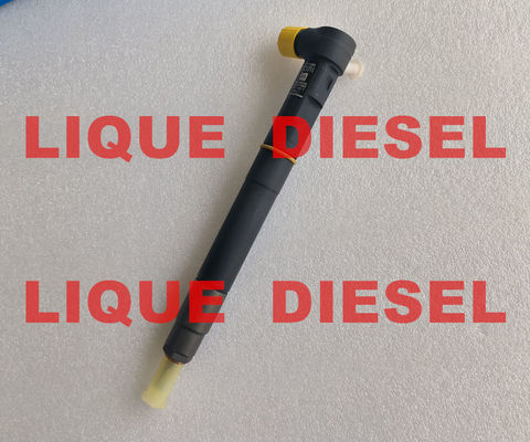 Delphi inyector de combustible 28387604 6730170021 A6730170021 para SSANGYONG Tivoli original OE A 673 017 00 21 proveedor