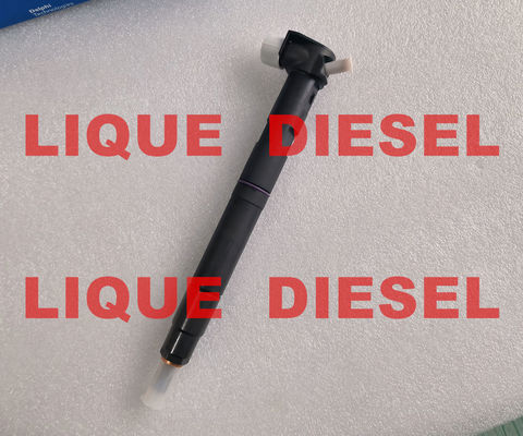 Inyector de combustible DELPHI 28489548 25195089 = 28264951 25183186 100% Genuino y nuevo. proveedor