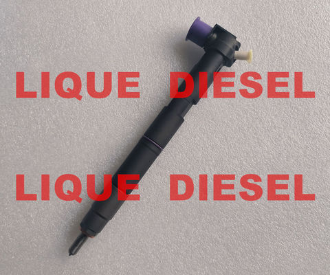 Inyector de riel común DELPHI 28581266 33800-2A150 338002A150 33800 2A150 proveedor