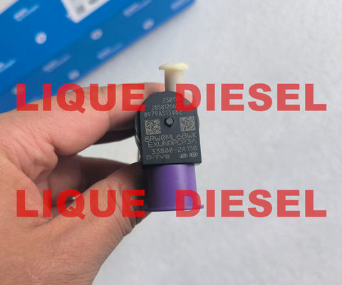 Inyector de riel común DELPHI 28581266 33800-2A150 338002A150 33800 2A150 proveedor