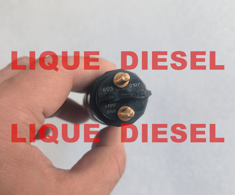 BOSCH Inyector de tren común 0445120197 51101006123 Inyector de combustible 445120197 0 445 120 197 proveedor