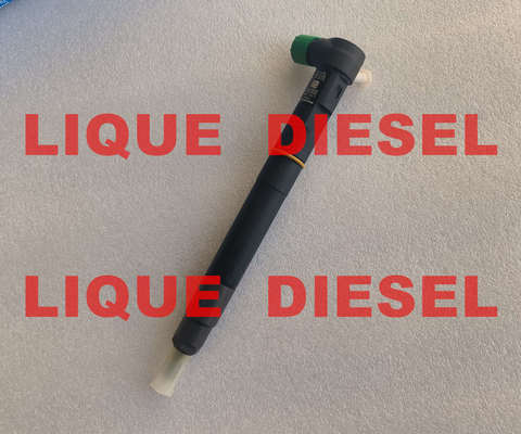 Inyector de combustible DELPHI 28384645 A6720170021 6720170021 para SSANGYONG D22 EURO 6 proveedor