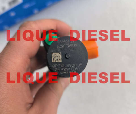 Inyector Common Rail DELPHI 28602948 9674984080 28388960 28319895 proveedor