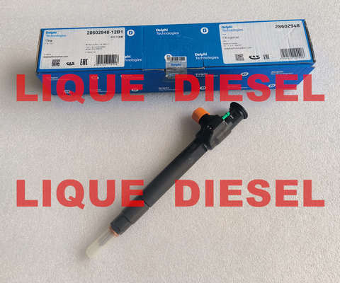 Inyector Common Rail DELPHI 28602948 9674984080 28388960 28319895 proveedor
