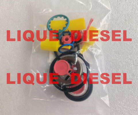 Kits de reparación genuinos para bomba CP4, kits de revisión para bomba CP4 para bomba 0445010507 0445010543 0445010546 proveedor