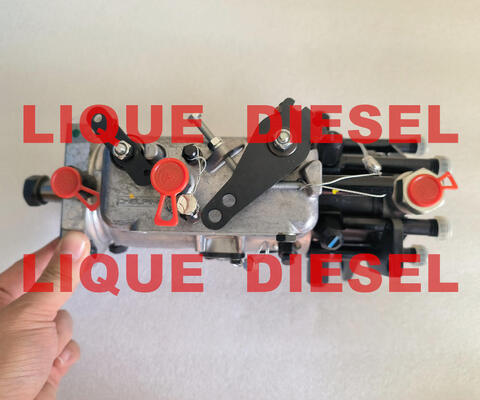 Bomba de combustible genuina 3062F075 3062F074 3062F073 3062F072 3062F071 3062F070 3062F07# proveedor
