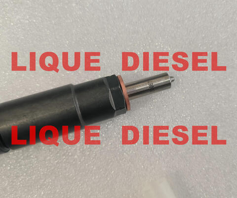 Inyector de combustible genuino 0445116041 35062005F 445116041 0 445 116 041 350 620 05F 0445116 041 proveedor