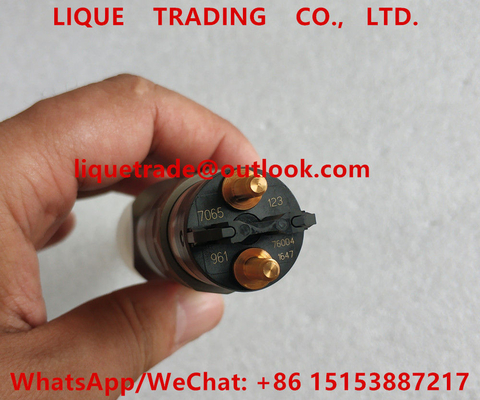 Inyector común 0445120123, 0 445 120 123, 4937065, 0445 120 123, 445120123 del carril de BOSCH proveedor