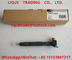 DELPHI Common Rail Injector 28272472, A6510702387, INYECTOR del CR de 6510702387 solenoides proveedor