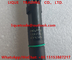 DELPHI Common Rail Injector EJBR03902D EJBR03901D, 33800-4X400 para KIA Carnival Euro IV proveedor