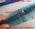 DELPHI Common Rail Injector EJBR05501D, R05501D para KIA 33800-4X450, 338004X450 proveedor
