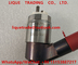 CAT Fuel Injector 326-4740/3264700 para el inyector 326 del CAT 315D/318D/319D de Caterpillar 4740 proveedor