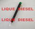 DELPHI Fuel Injector EJBR03001D, R03001D, 33800-4X900, 33801-4X900, 3001D proveedor