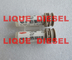 DELPHI Common Rail Injector Nozzle L311PBC, L311, BOCA 311 proveedor