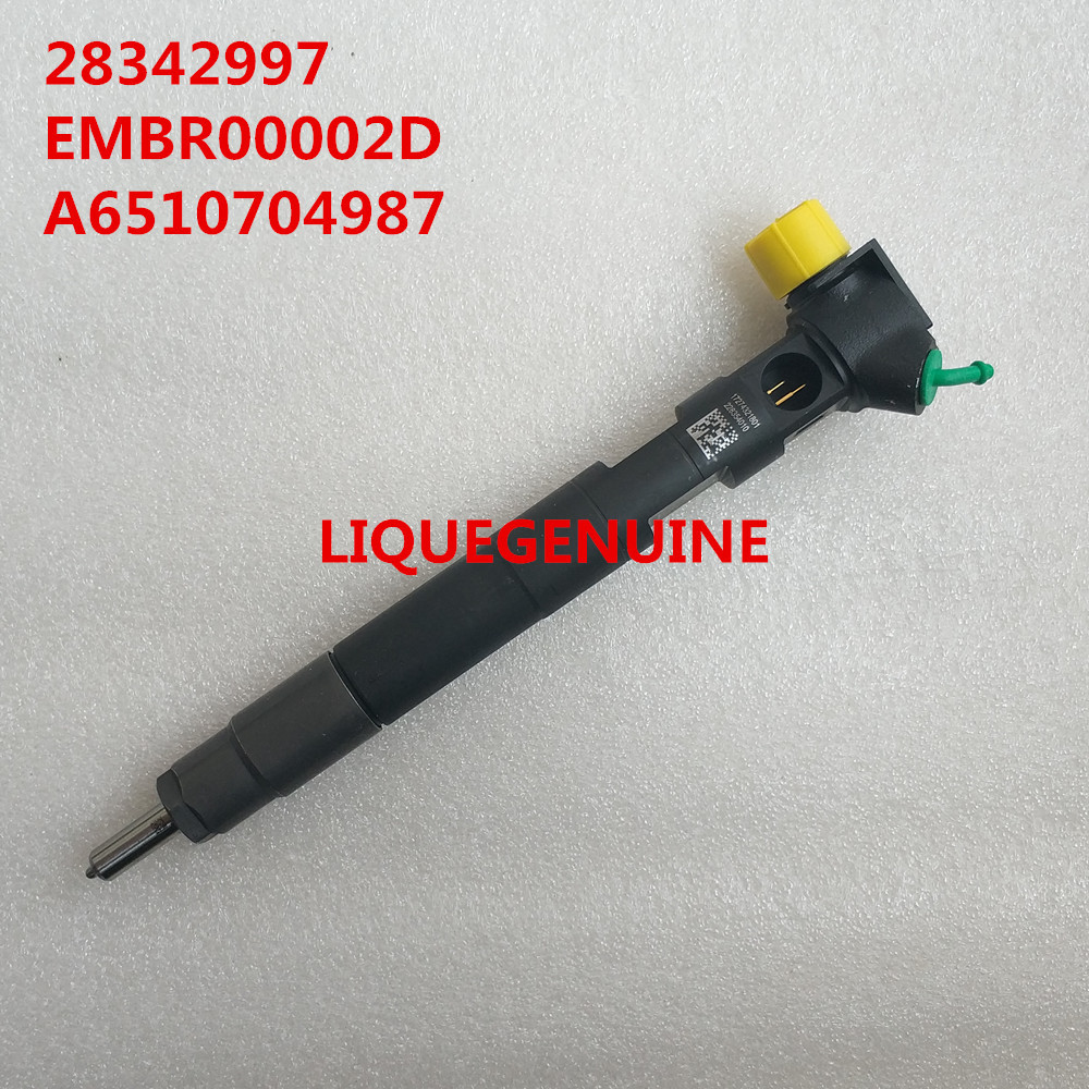 Inyector EMBR00002D, R00002D, 28342997 del carril de DELPHI Common ...